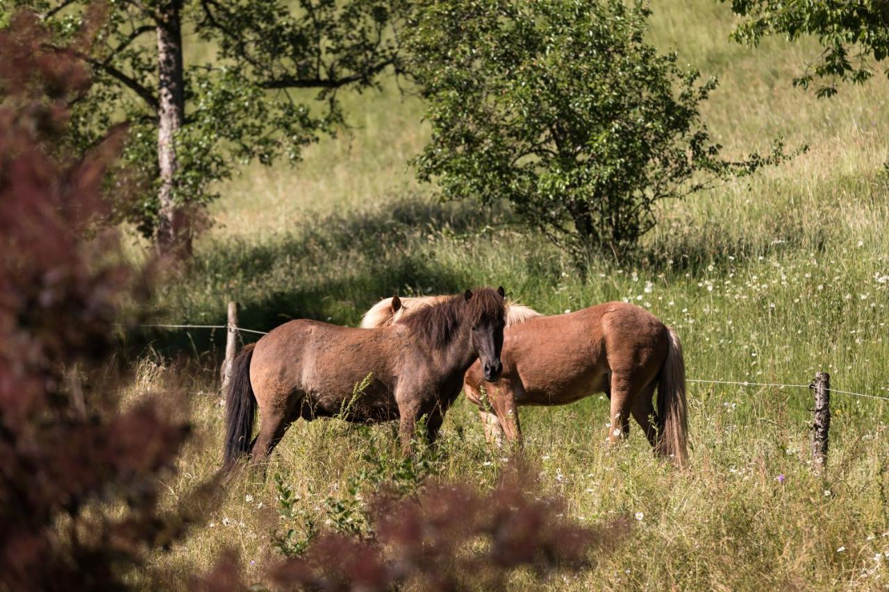 Homestead Farm Tesnak Gorenja Vas  Eksteriør billede